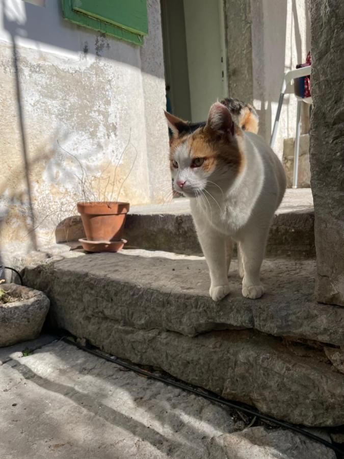 Maja Stone House Villa Kornic Luaran gambar